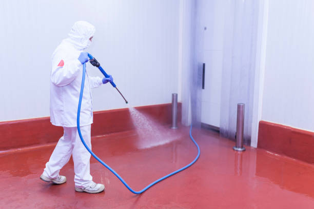 Best Building Exterior Washing  in Honey Grove, TX
