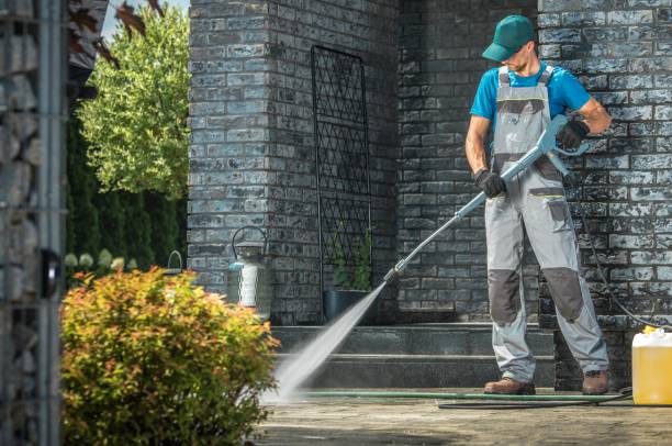 Best Driveway Pressure Washing  in Honey Grove, TX