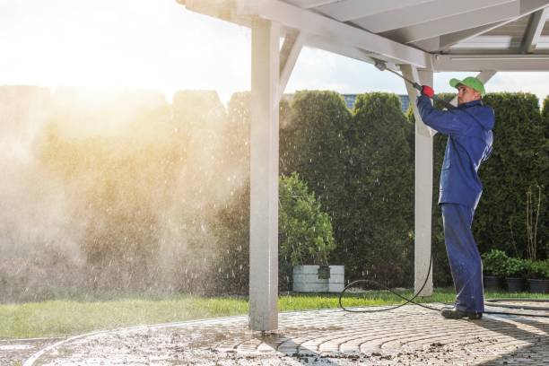 Best Gutter Cleaning  in Honey Grove, TX