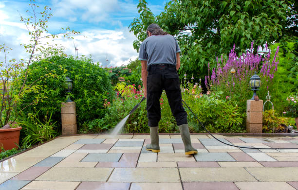  Honey Grove, TX Pressure Washing Pros