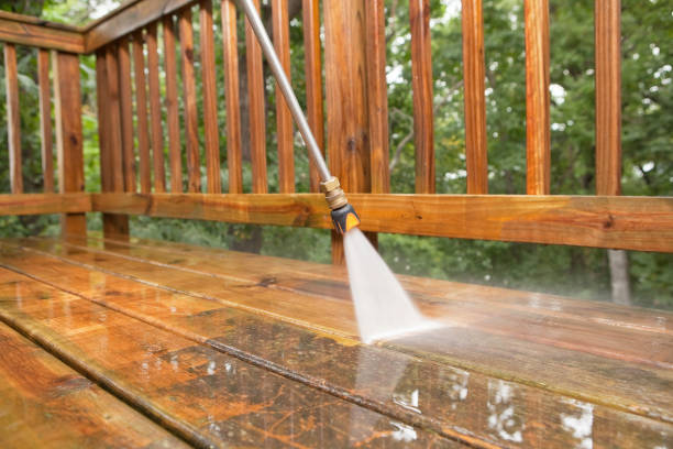 Best Sidewalk and Walkway Cleaning  in Honey Grove, TX