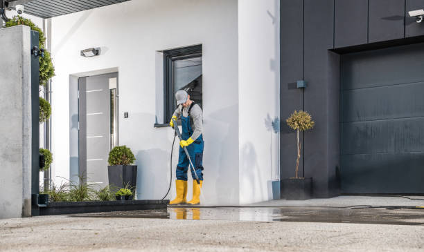 Best Animal Enclosure Cleaning  in Honey Grove, TX